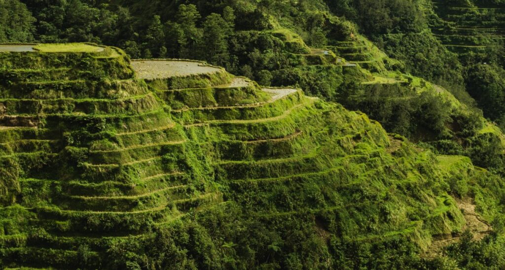Banaue Rice terraces, Philippines, Asia