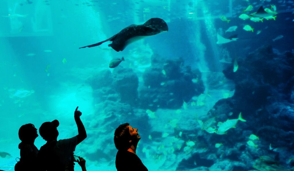Sea Aquarium, Sentosa Island, Singapore, Asia