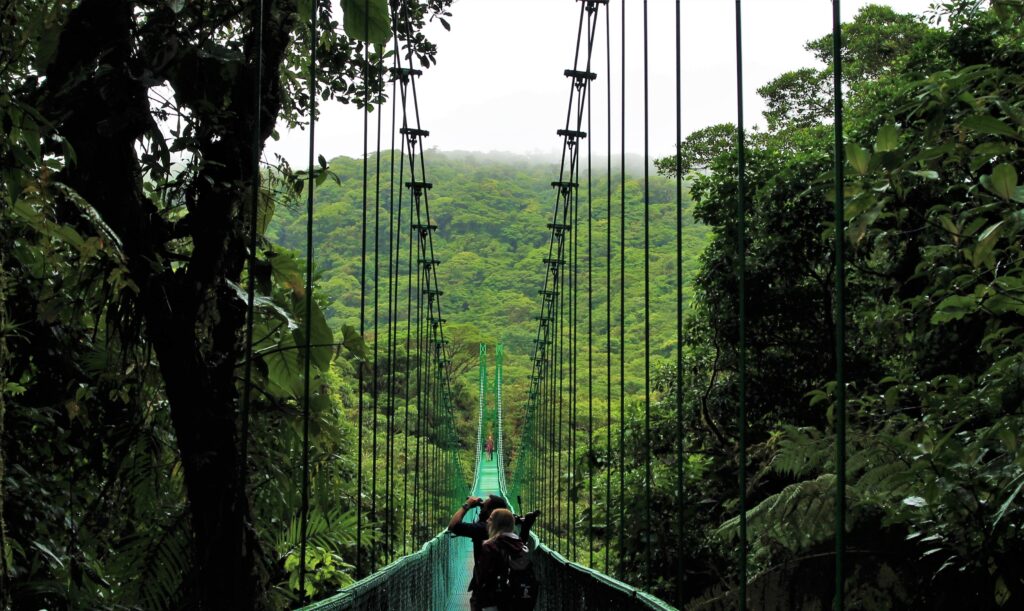 Puntarenas Province, Monteverde, Costa Rica