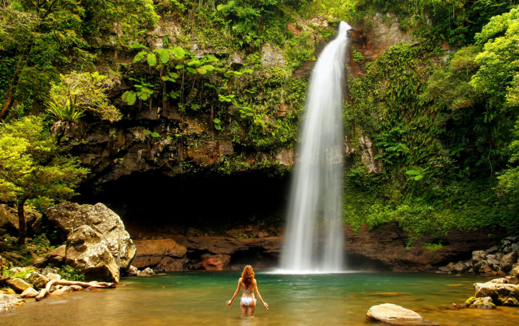 Lower Tavoro Waterfalls, Bouma National Heritage Park, Taveuni Island, Fiji